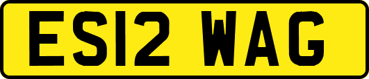 ES12WAG