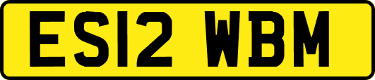 ES12WBM