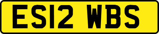 ES12WBS