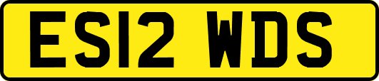 ES12WDS