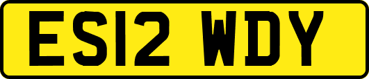 ES12WDY
