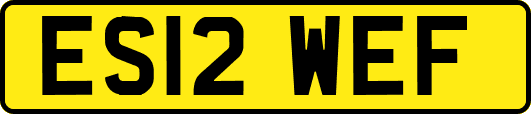 ES12WEF