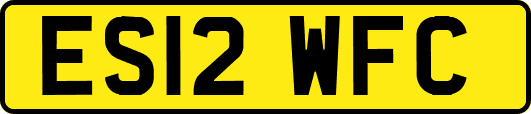 ES12WFC