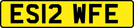 ES12WFE