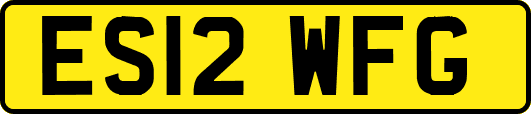 ES12WFG