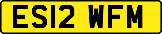 ES12WFM