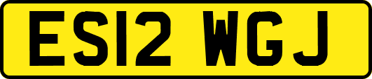 ES12WGJ