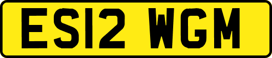 ES12WGM