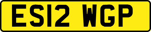 ES12WGP