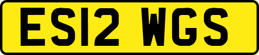 ES12WGS