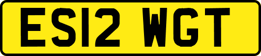 ES12WGT