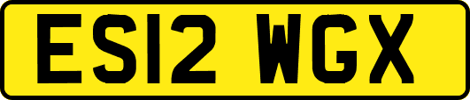 ES12WGX