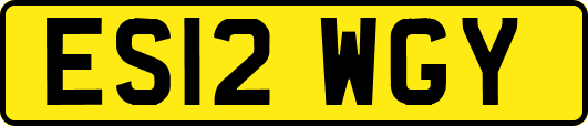 ES12WGY