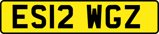 ES12WGZ