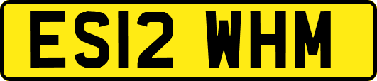 ES12WHM