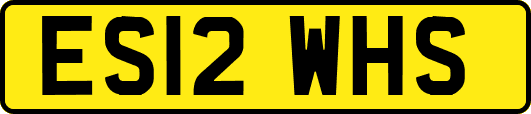 ES12WHS