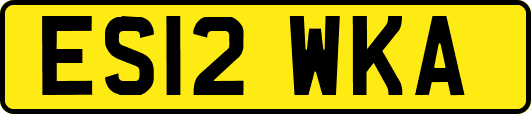 ES12WKA