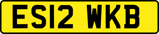 ES12WKB
