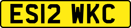 ES12WKC