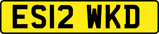 ES12WKD