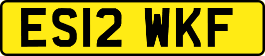 ES12WKF