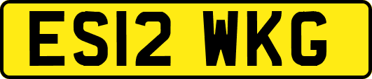 ES12WKG