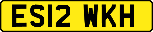 ES12WKH