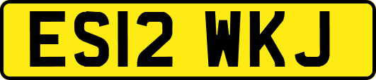 ES12WKJ