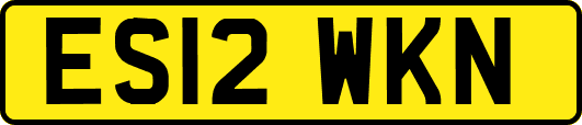 ES12WKN
