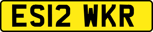 ES12WKR