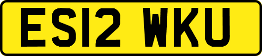 ES12WKU