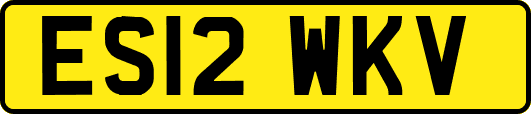 ES12WKV