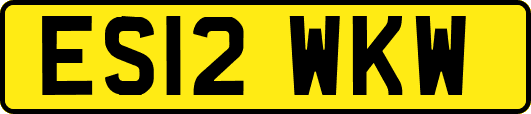 ES12WKW