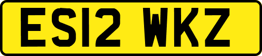 ES12WKZ
