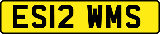 ES12WMS