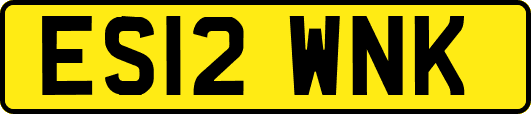 ES12WNK