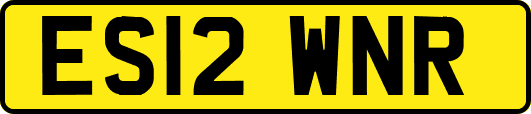ES12WNR
