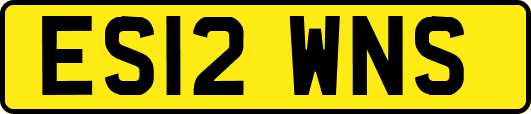 ES12WNS