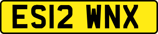 ES12WNX