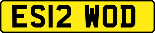 ES12WOD