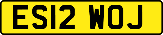 ES12WOJ