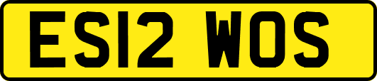ES12WOS
