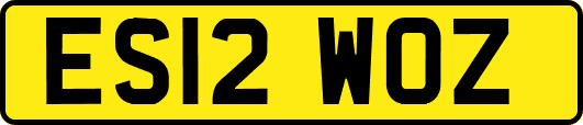 ES12WOZ