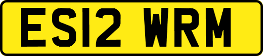 ES12WRM
