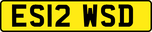 ES12WSD