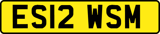 ES12WSM