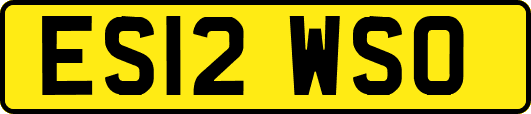 ES12WSO