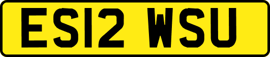ES12WSU