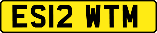 ES12WTM