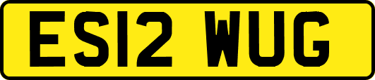 ES12WUG